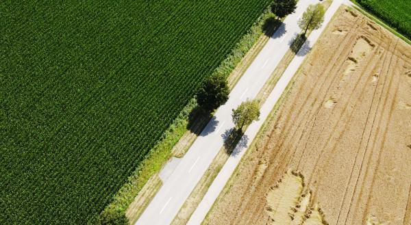 Drohnenaufnahme Mettenheim Drohnenaufnahme Mettenheim