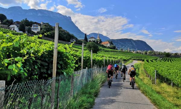 IMG 20200714 170340 2x