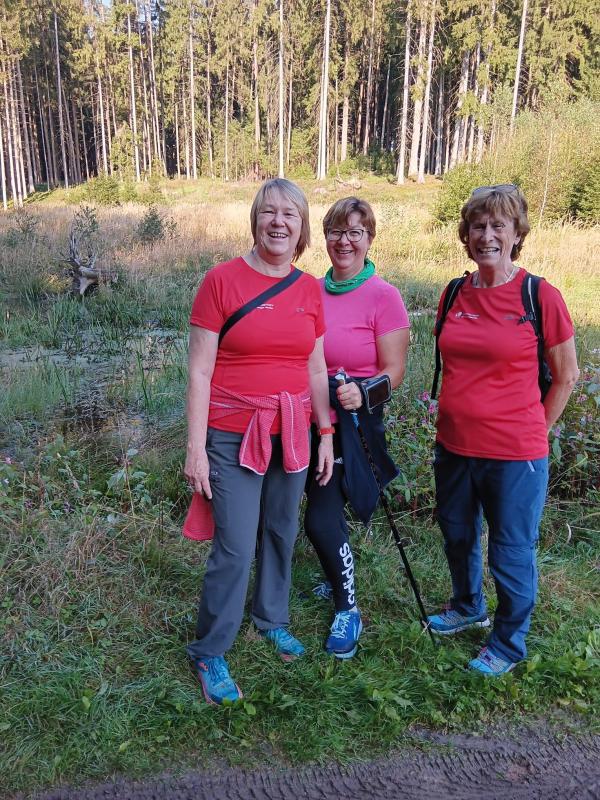 E50210d9 a1c7 4ccb b173 d6408097530a