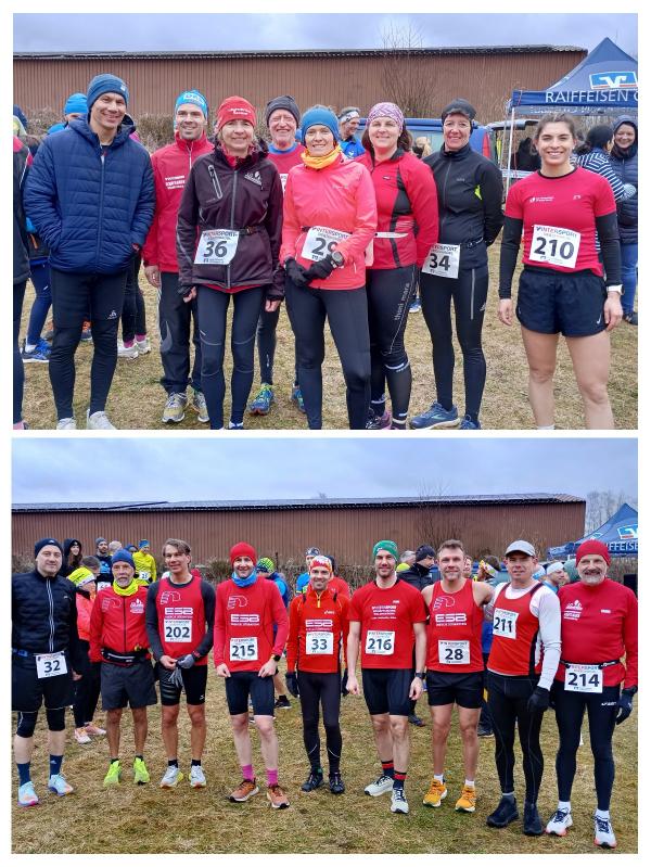 20250315 165528 COLLAGE