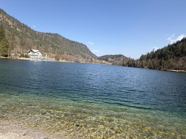 Thumsee