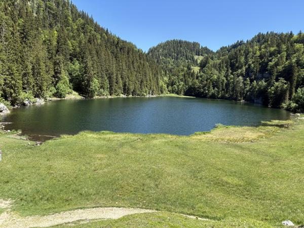 Taubensee